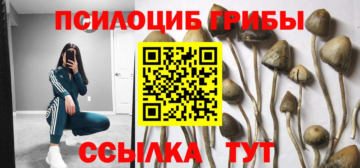 Галлюциногенные грибы ЛСД Тавда