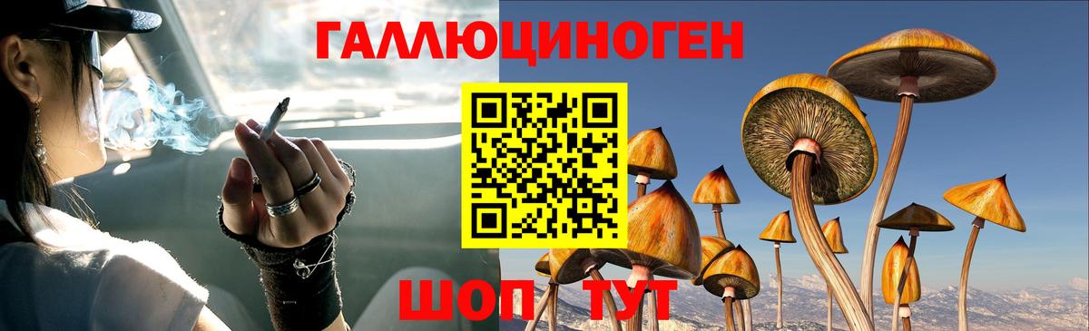 Галлюциногенные грибы Psilocybine cubensis  Вход с VPN  Тавда 
